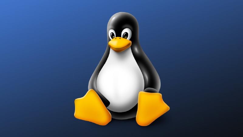 Featured image of post Linux通用保活方式-Screen教程